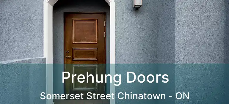  Prehung Doors Somerset Street Chinatown - ON