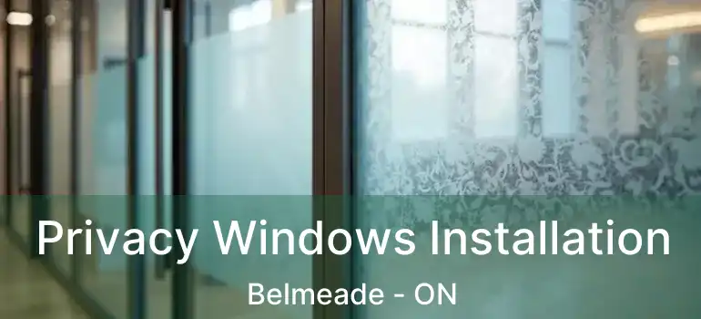  Privacy Windows Installation Belmeade - ON