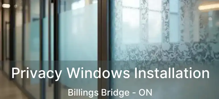  Privacy Windows Installation Billings Bridge - ON