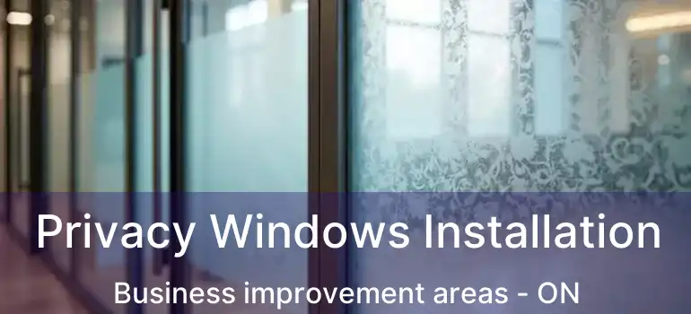  Privacy Windows Installation Business improvement areas - ON