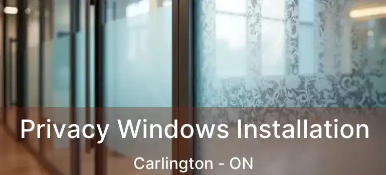  Privacy Windows Installation Carlington - ON