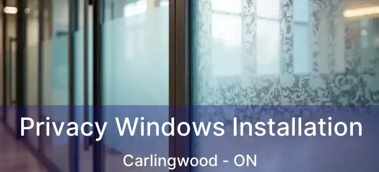  Privacy Windows Installation Carlingwood - ON