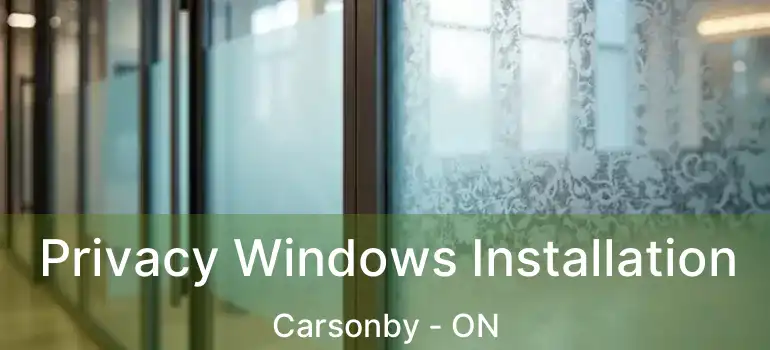  Privacy Windows Installation Carsonby - ON