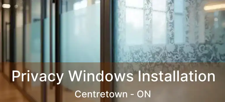  Privacy Windows Installation Centretown - ON