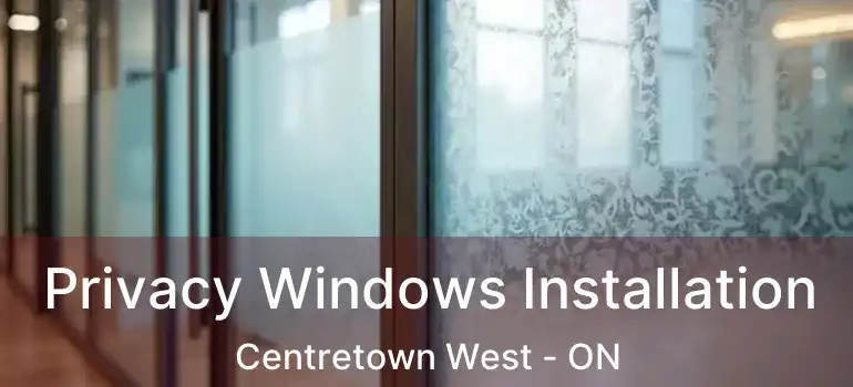  Privacy Windows Installation Centretown West - ON