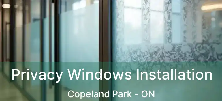  Privacy Windows Installation Copeland Park - ON