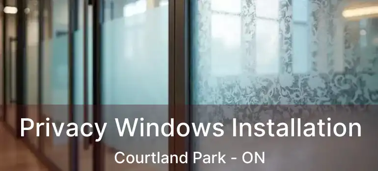  Privacy Windows Installation Courtland Park - ON