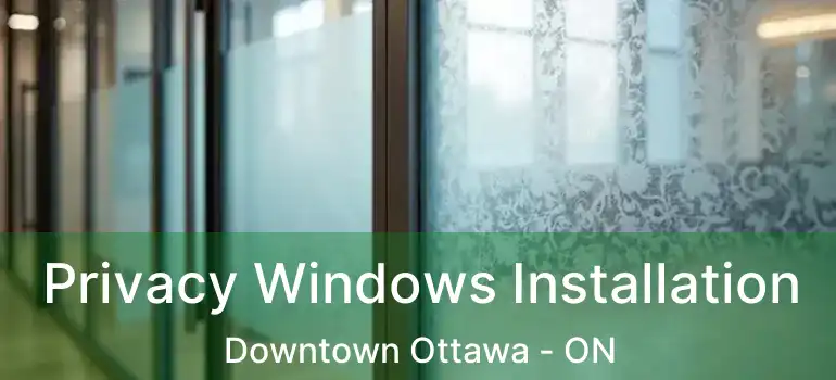  Privacy Windows Installation Downtown Ottawa - ON