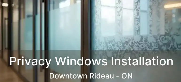  Privacy Windows Installation Downtown Rideau - ON