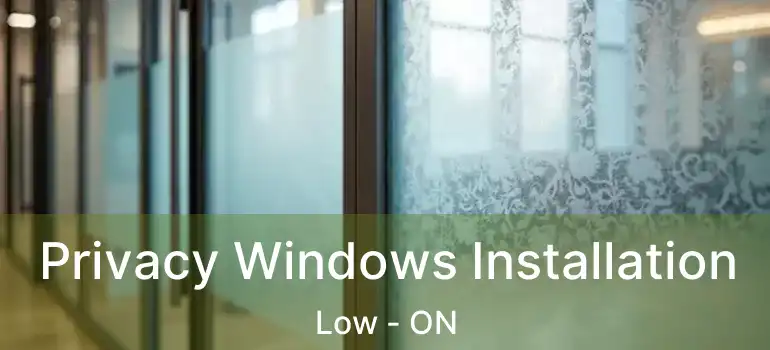  Privacy Windows Installation Low - ON