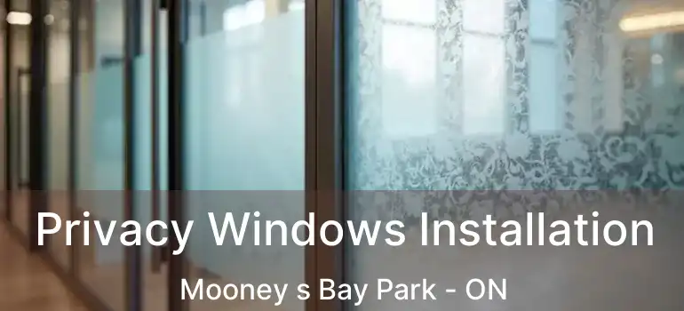  Privacy Windows Installation Mooney s Bay Park - ON