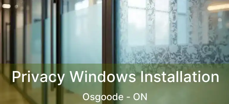  Privacy Windows Installation Osgoode - ON