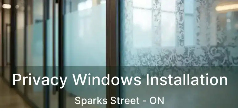  Privacy Windows Installation Sparks Street - ON