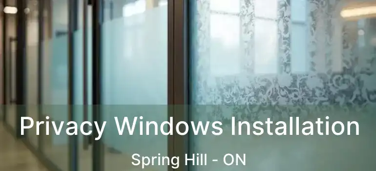  Privacy Windows Installation Spring Hill - ON