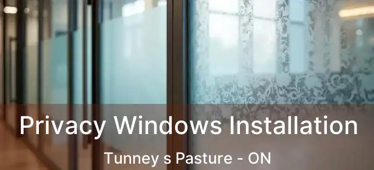  Privacy Windows Installation Tunney s Pasture - ON