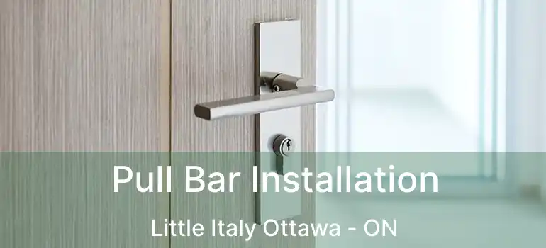  Pull Bar Installation Little Italy Ottawa - ON