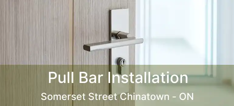  Pull Bar Installation Somerset Street Chinatown - ON