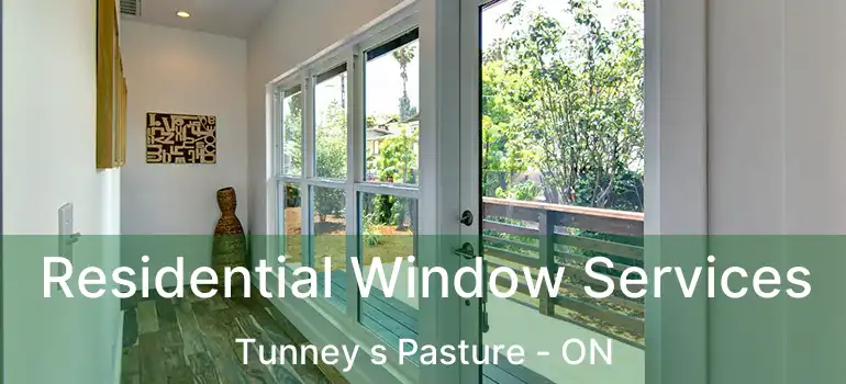  Residential Window Services Tunney s Pasture - ON