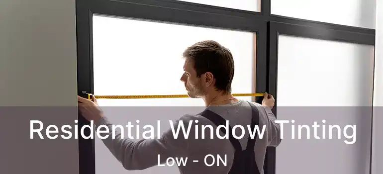  Residential Window Tinting Low - ON