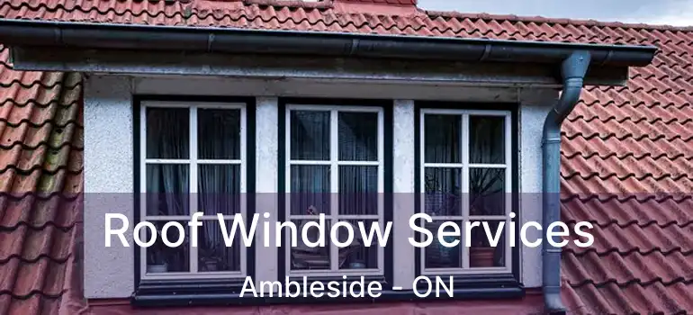  Roof Window Services Ambleside - ON