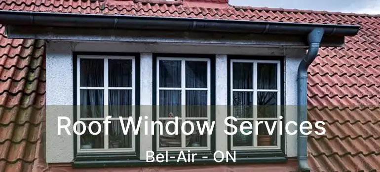  Roof Window Services Bel-Air - ON