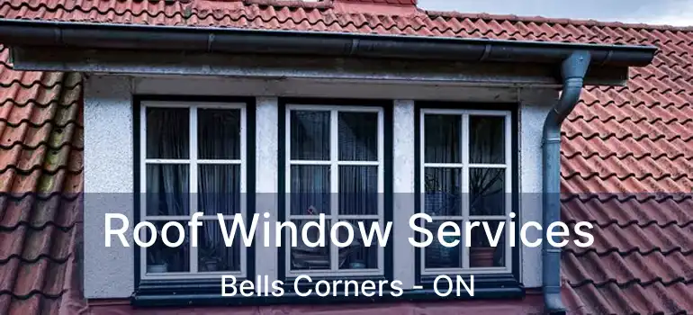  Roof Window Services Bells Corners - ON