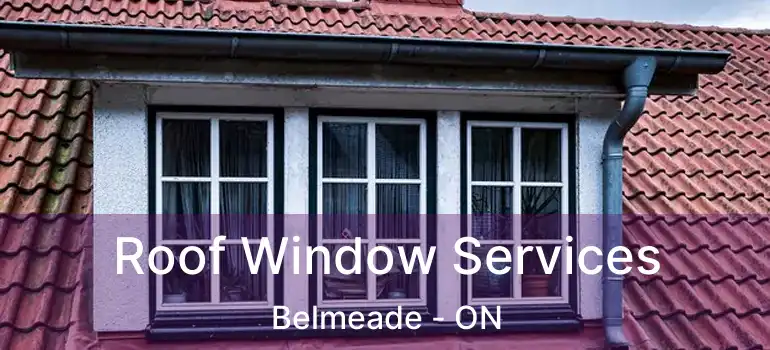  Roof Window Services Belmeade - ON