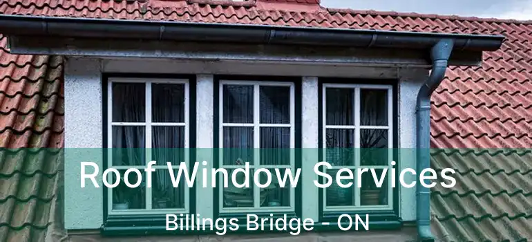  Roof Window Services Billings Bridge - ON