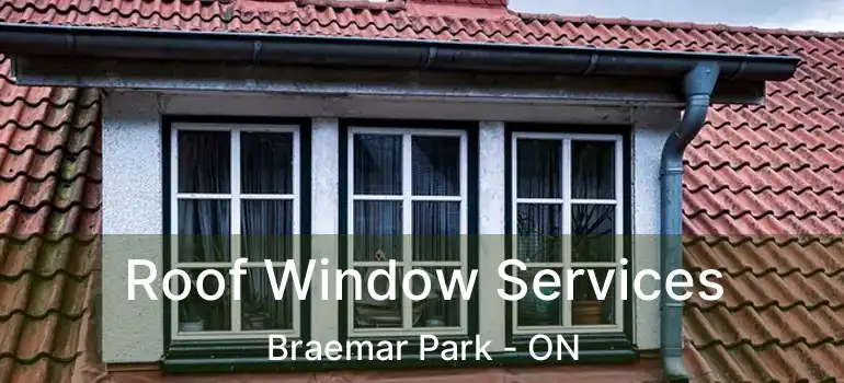  Roof Window Services Braemar Park - ON