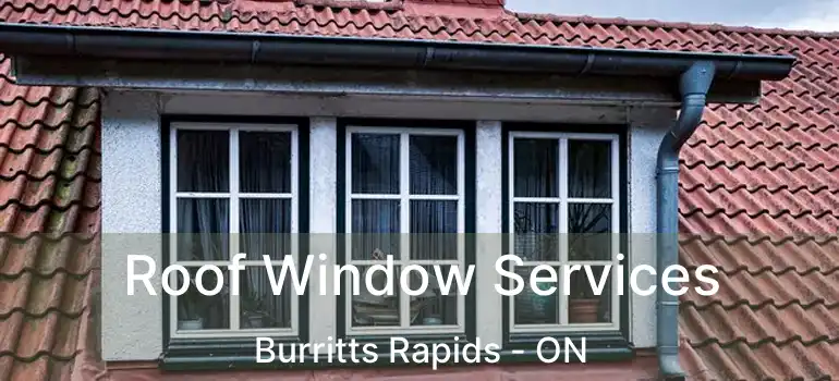  Roof Window Services Burritts Rapids - ON