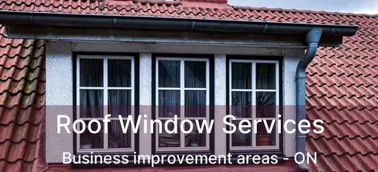  Roof Window Services Business improvement areas - ON