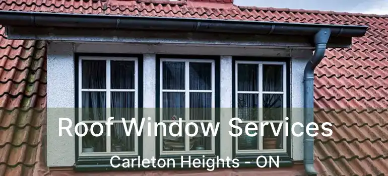  Roof Window Services Carleton Heights - ON