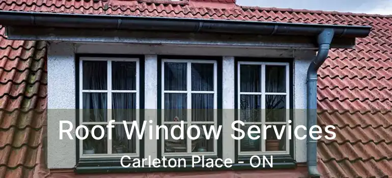  Roof Window Services Carleton Place - ON