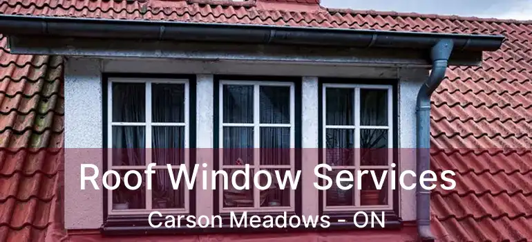  Roof Window Services Carson Meadows - ON