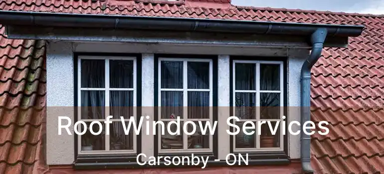  Roof Window Services Carsonby - ON