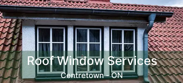  Roof Window Services Centretown - ON