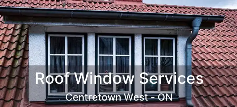  Roof Window Services Centretown West - ON