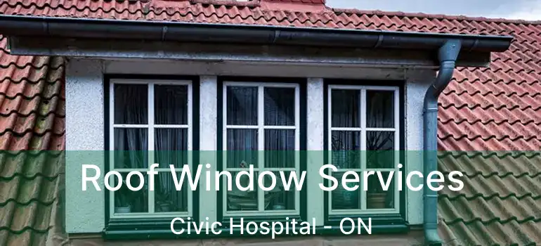  Roof Window Services Civic Hospital - ON