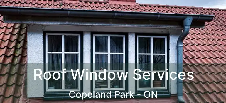  Roof Window Services Copeland Park - ON