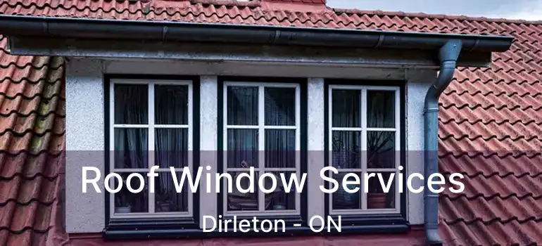  Roof Window Services Dirleton - ON