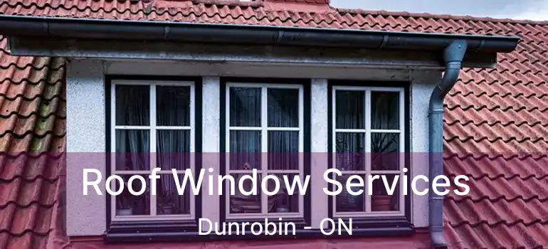  Roof Window Services Dunrobin - ON