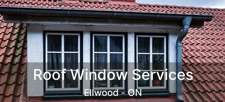  Roof Window Services Ellwood - ON