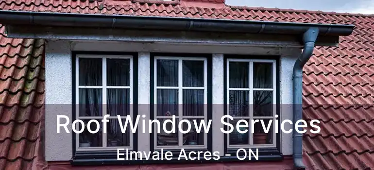  Roof Window Services Elmvale Acres - ON