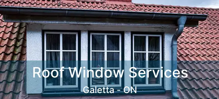  Roof Window Services Galetta - ON