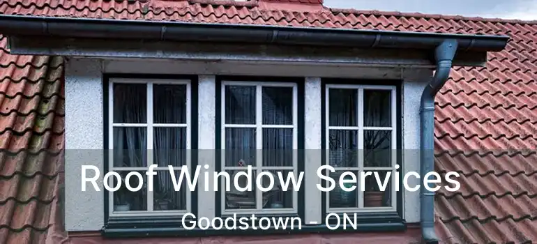  Roof Window Services Goodstown - ON