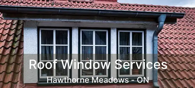  Roof Window Services Hawthorne Meadows - ON