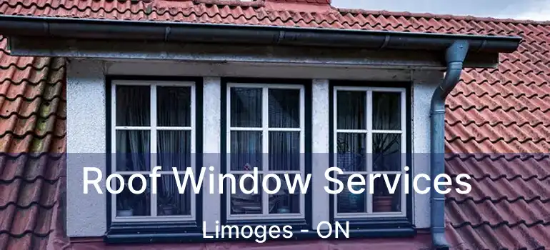  Roof Window Services Limoges - ON