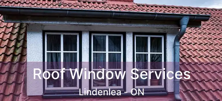  Roof Window Services Lindenlea - ON