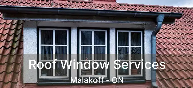  Roof Window Services Malakoff - ON