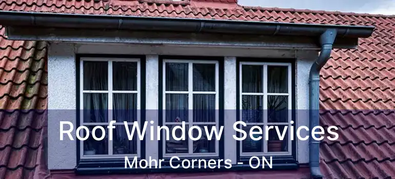  Roof Window Services Mohr Corners - ON